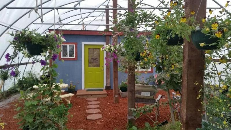 Cottonwood Cabins Fritz Creek Εξωτερικό φωτογραφία
