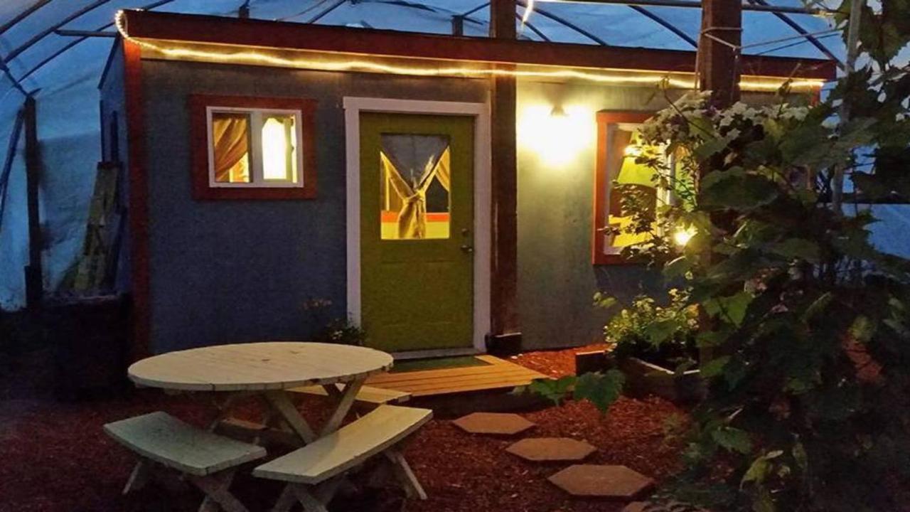 Cottonwood Cabins Fritz Creek Εξωτερικό φωτογραφία