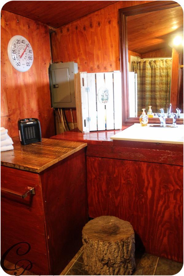 Cottonwood Cabins Fritz Creek Εξωτερικό φωτογραφία