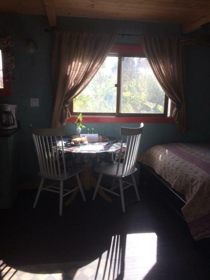 Cottonwood Cabins Fritz Creek Εξωτερικό φωτογραφία